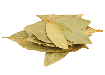 Bay Leaf