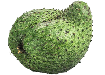 Soursop