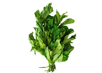 Ugu (Fluted Pumpkin Leave)