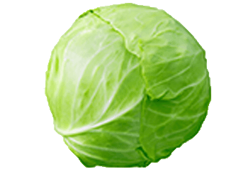 Cabbage