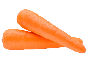 Carrot