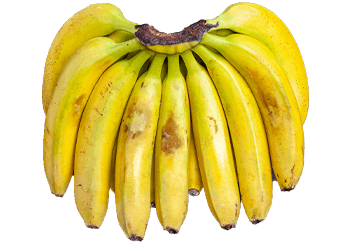 Bananas (Cavendish)