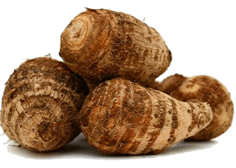 Cocoyam