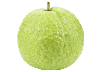 Guava (White)