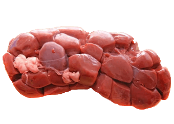 Beef Kidney