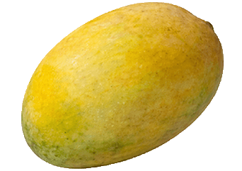Ogbomosho Mango